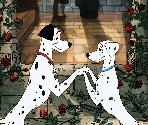 One Hundred and One Dalmatians, 101 Dalmatyńczyków, Bajka, Disney