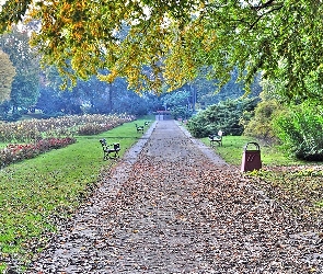 Park, Legnica