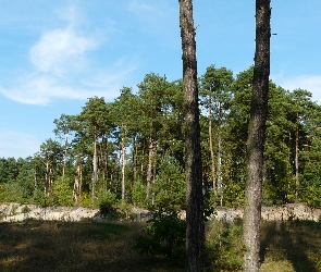 Piasku, Sosny, Kopalnia