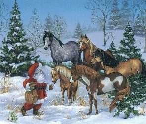 konie, Boże Narodzenie