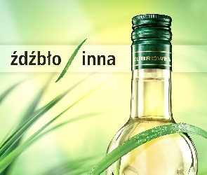 Wódka, Trawy, Źdźbła, Żubrówka