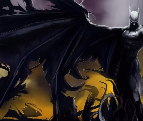 Batman, Skrzydło