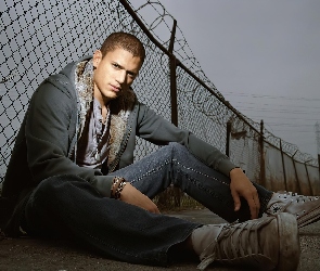 Wentworth Miller, Więzienie
