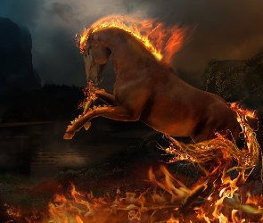 Koń, Płonący