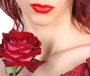 Róża, Kobieta, Czerwona