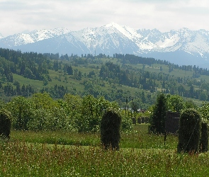 Ośnieżone, Gór, Zbocza