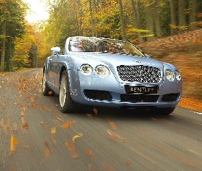 Liście, Jesień, Bentley Continental GTC