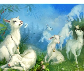 Kozy, Łąka