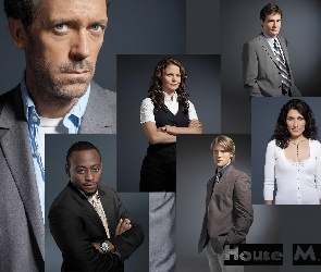 Dr. House, Hugh Laurie, Aktorzy