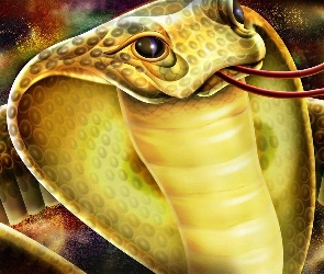 Kobra, Język
