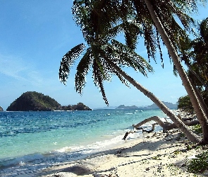 Wysepka, Palmy, Plaża, Piaszczysta, Morze