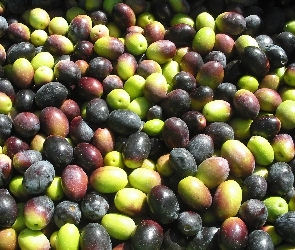 Masa, Śliwek