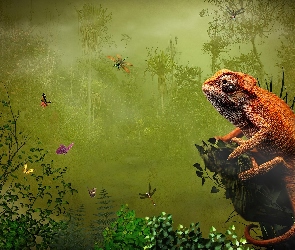 Ważki, Kameleon