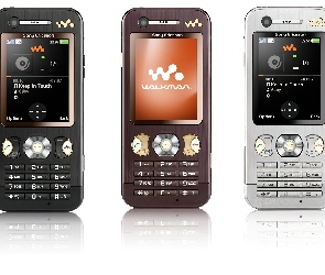 Srebrny, Brązowy, Sony Ericsson W880i, Czarny