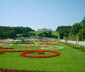Kwiaty, Wzorki, Park