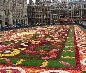 Wystawa kwiatów, 2008 rok, Bruksela