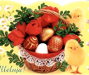 Bazie, Kurczak, Koszyczek, Wielkanoc, Święconka, Pisanki