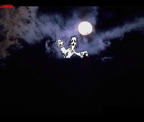 Halloween, zjawa