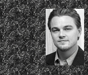 bródka, Leonardo DiCaprio
