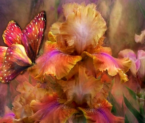 Kolorowy, Motyl, Kwiaty