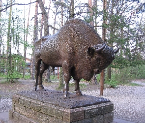 Pomnik, Żubra