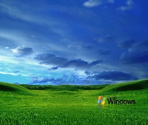 łąki, Chmury, Windows XP