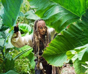 Zarośla, Jack Sparrow, Pirat