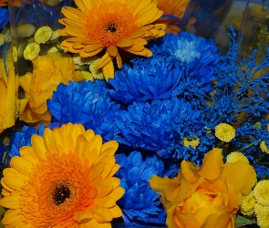 Kwiatów, Żółtych, Bukiet, Niebiesko