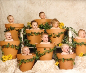 Dzieci, Doniczki, Gromadka