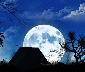 Noc, Chata, Księżyc