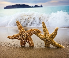 Plaża, Gwiazdy, Morze