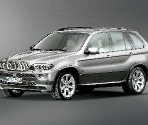 Bmw X5, E53