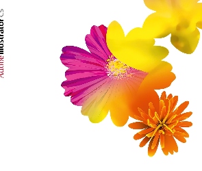 kwiaty, grafika, Adobe