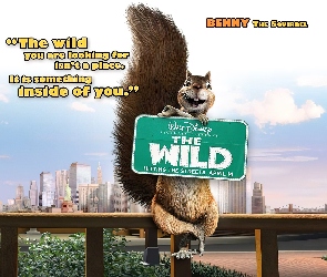 The Wild, Dżungla, Benny, Film animowany