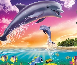 Delfiny, Palmy, Woda