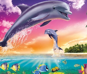 Woda, Palmy, Delfiny