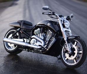 Harley Davidson V-Rod Muscle, Chłodnica, Masywna