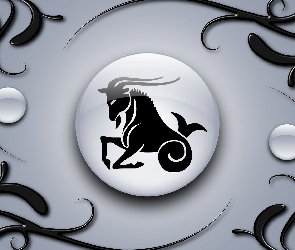 Zodiaku, Koziorożec, Znak