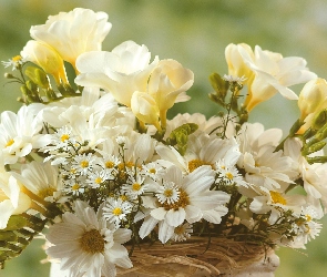 Bukiet, Kwiatków, Białych
