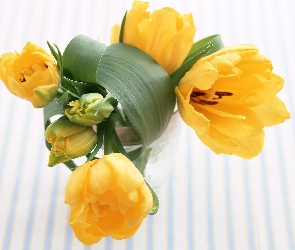 Bukiet, Tulipanów, Żółtych