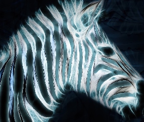 3D, Paski, Zebra