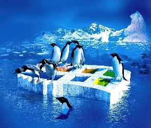 Lód, Logo, Windows XP, Pingwiny