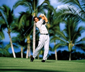 Sportowe Golf, kij golfowy