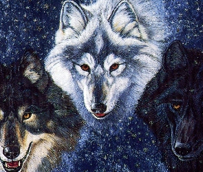 Wilki, Śnieg, Trzy