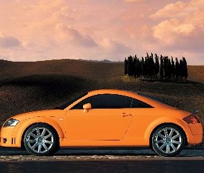 Pomarańczowe, Lewy Profil, Audi TT