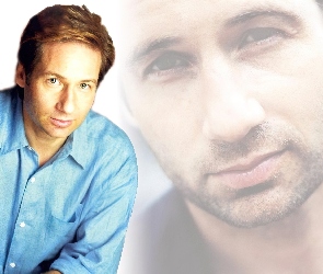 David Duchovny, błękitna koszula