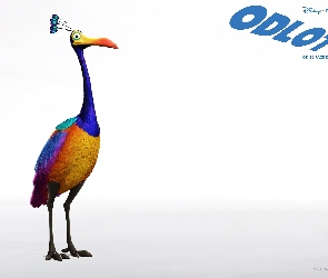 Odlot, Ptak
