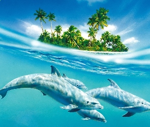 Cztery, Wyspa, Woda, Delfiny