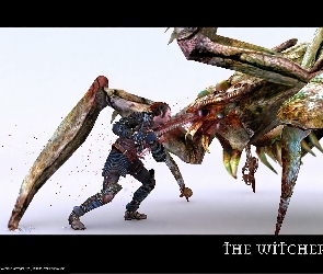 wojownik, The Witcher, miecz, mężczyzna, potwór
