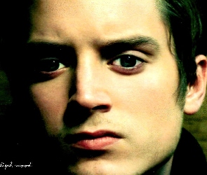twarz, zielone oczy, Elijah Wood